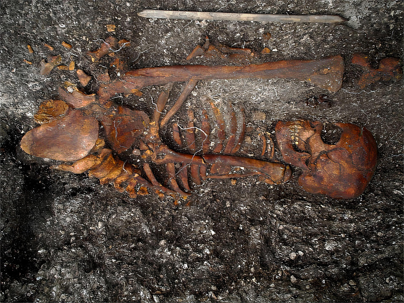 Skeleton-at-the-Site-in-Jubuicabeira-II-Brazil(1).jpg