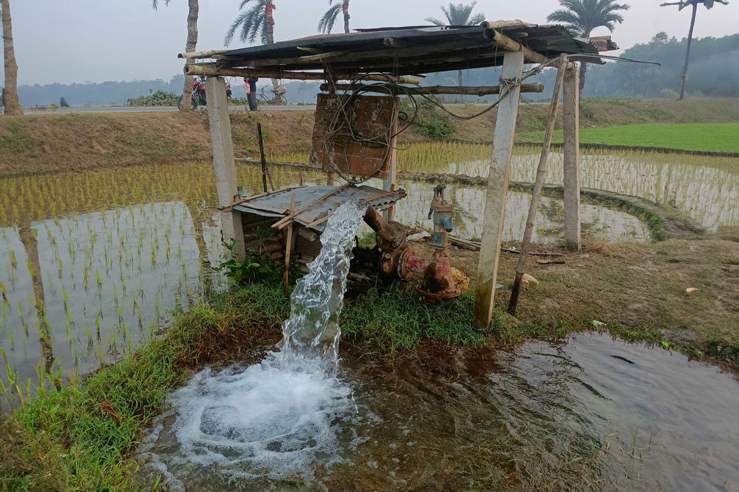 Groundwater-Fed-Irrigation-by-an-Electricity-Operated-Pump.jpg