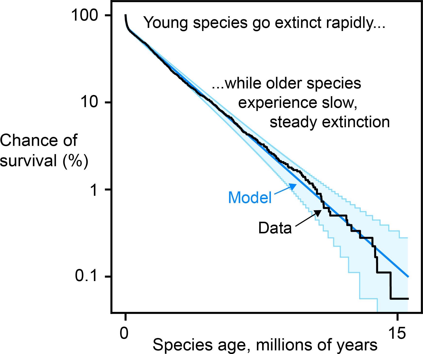 Age-Dependent-Extinction-Graph.png