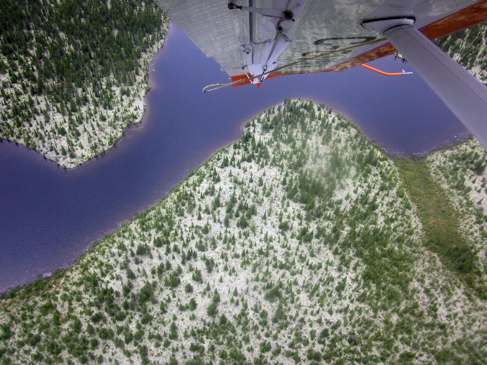 Spruce-Trees-View-From-Plane-Window.jpg