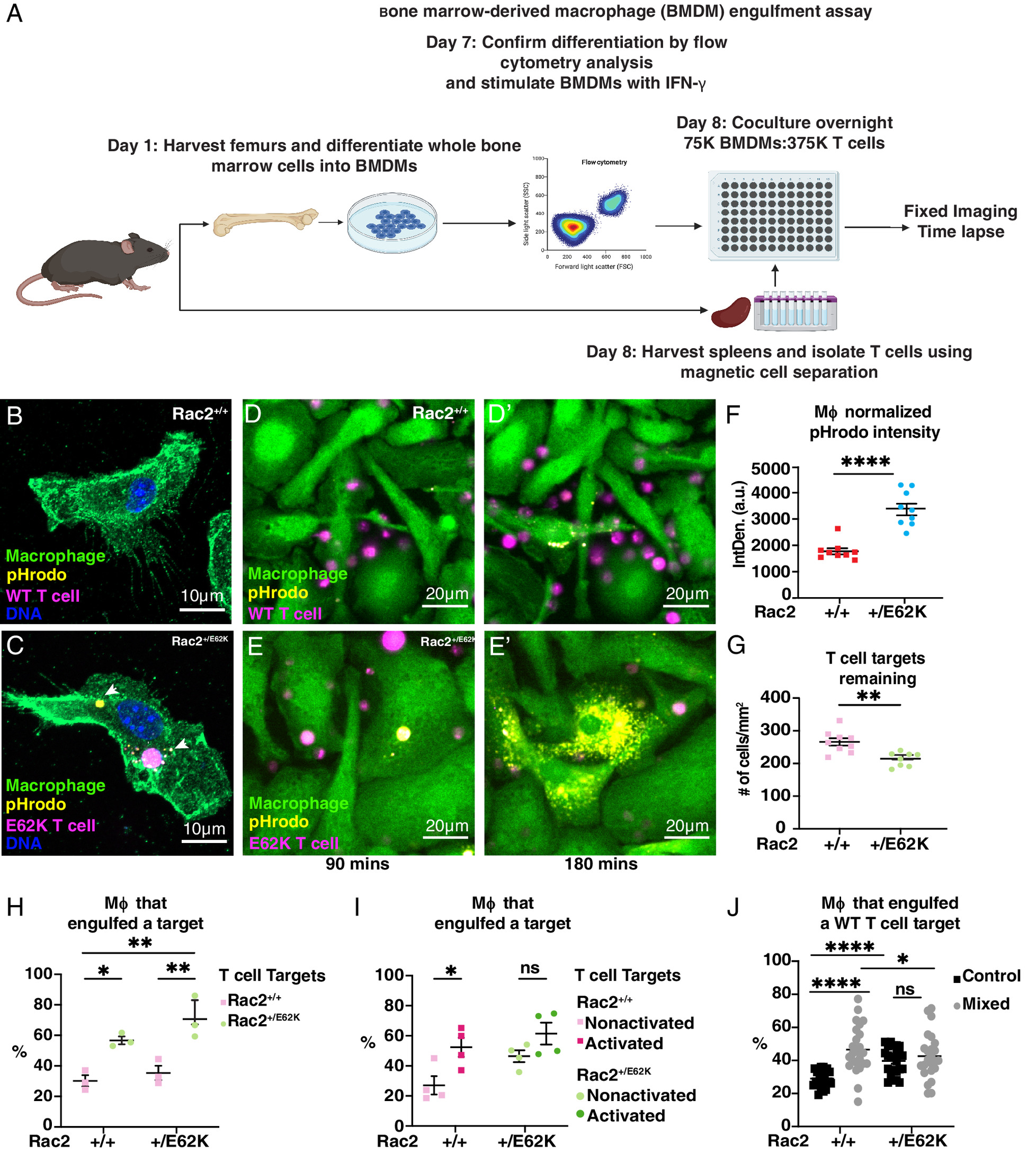 pnas.2310221120fig05.jpg