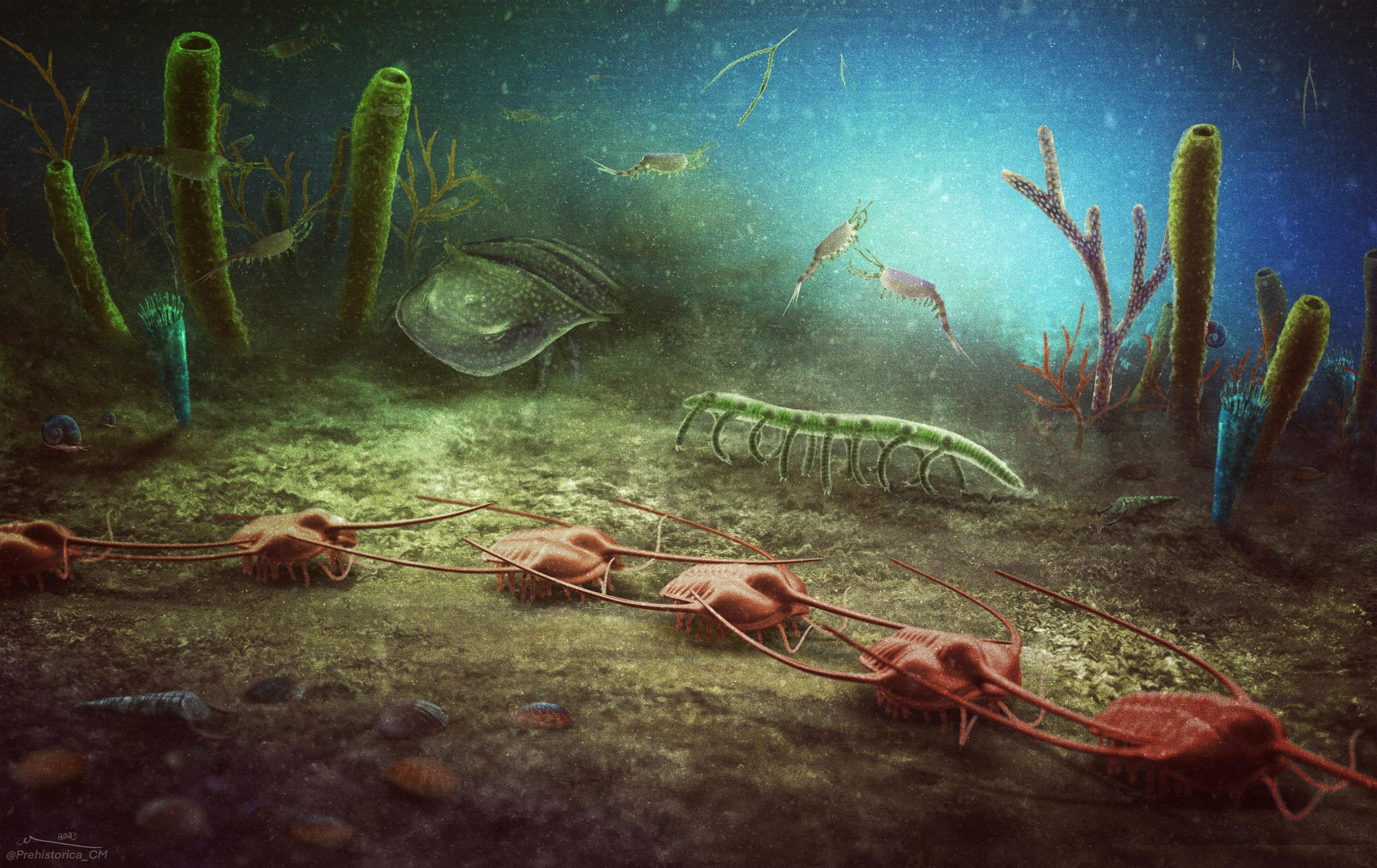 Cabrieres-Biota-Artistic-Reconstruction-scaled.jpg