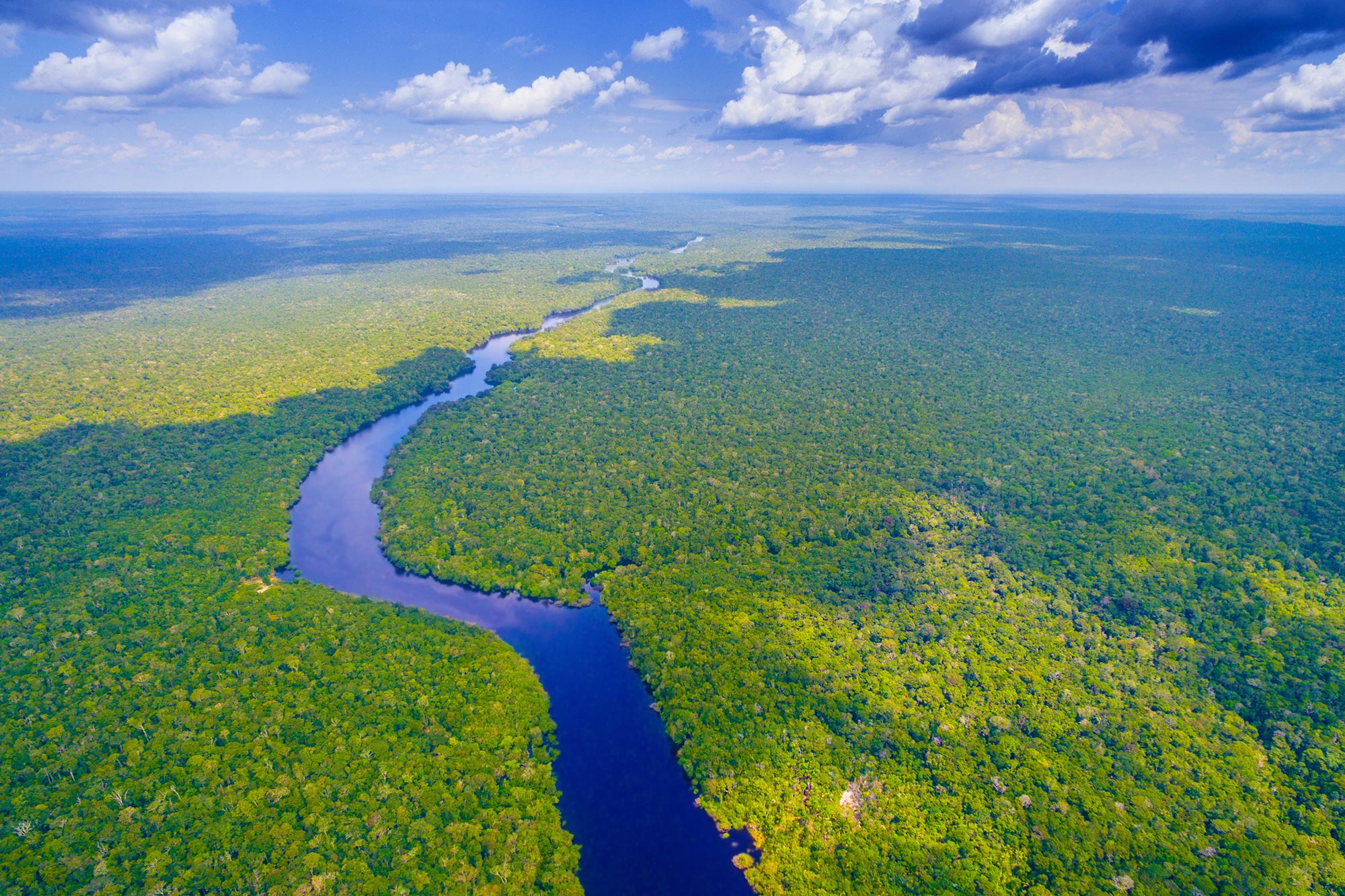 Amazon-River-Rainforest.jpg