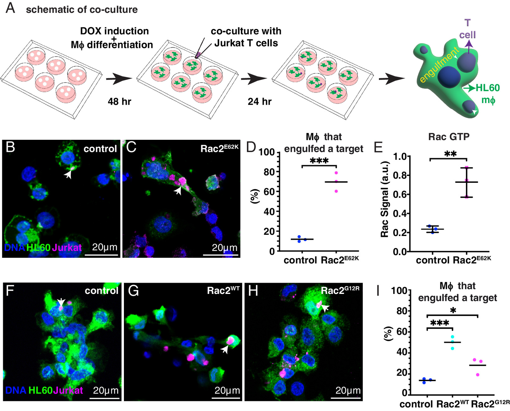 pnas.2310221120fig03.jpg