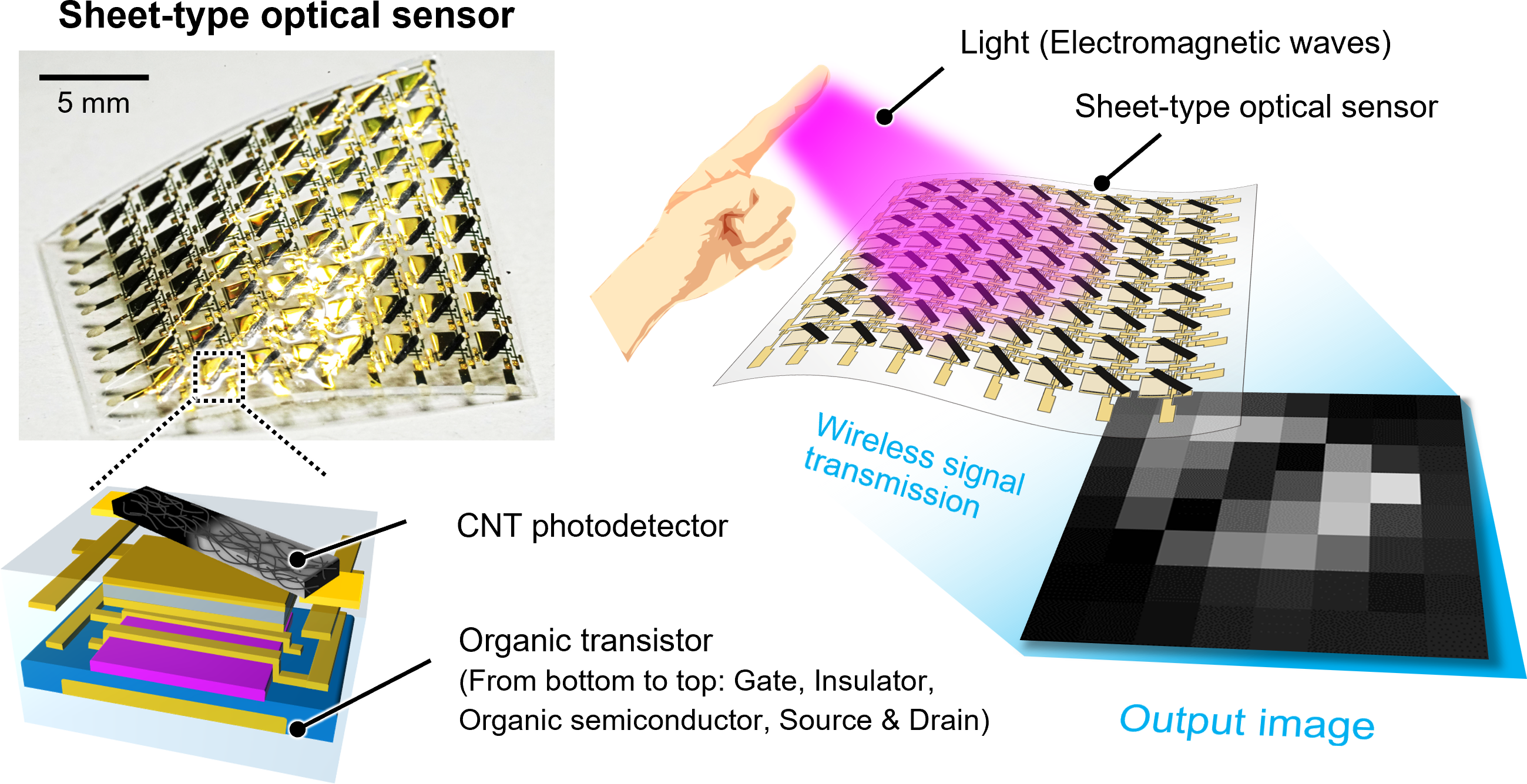 Sheet-Type-Optical-Sensor-Integrated-With-a-Carbon-Nanotube-Photodetector-and-an-Organic-Transistor.png