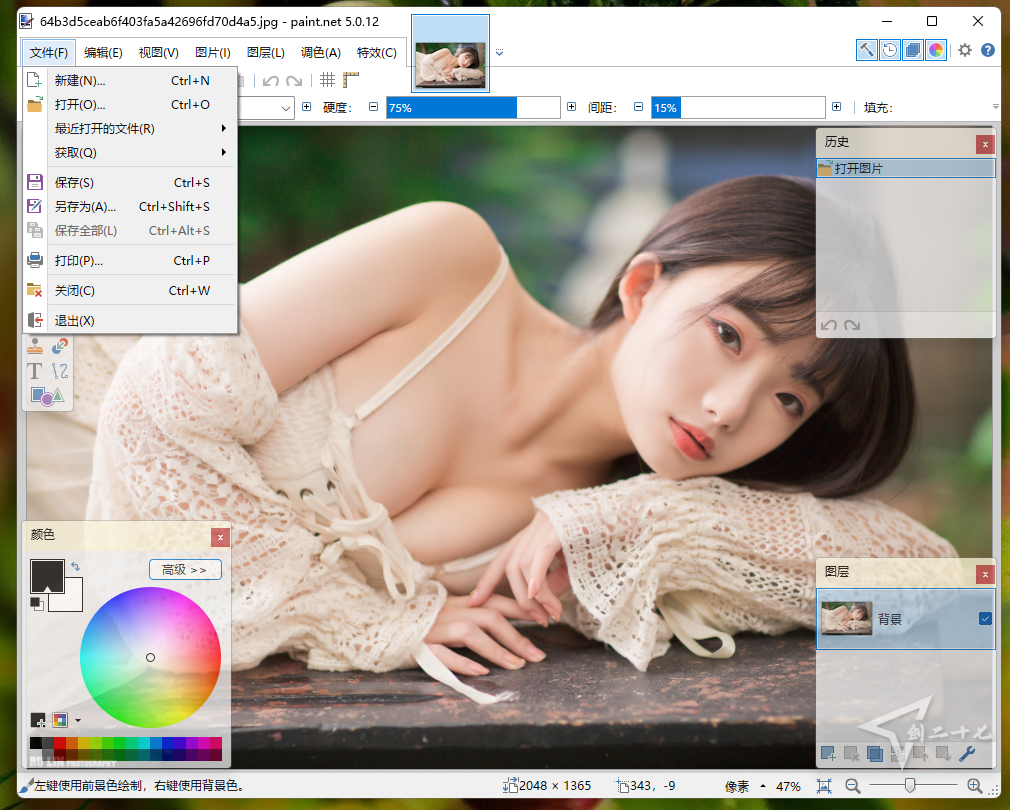 神器 图像处理软件 Paint.NET  v5.0.13 中文绿色免安装