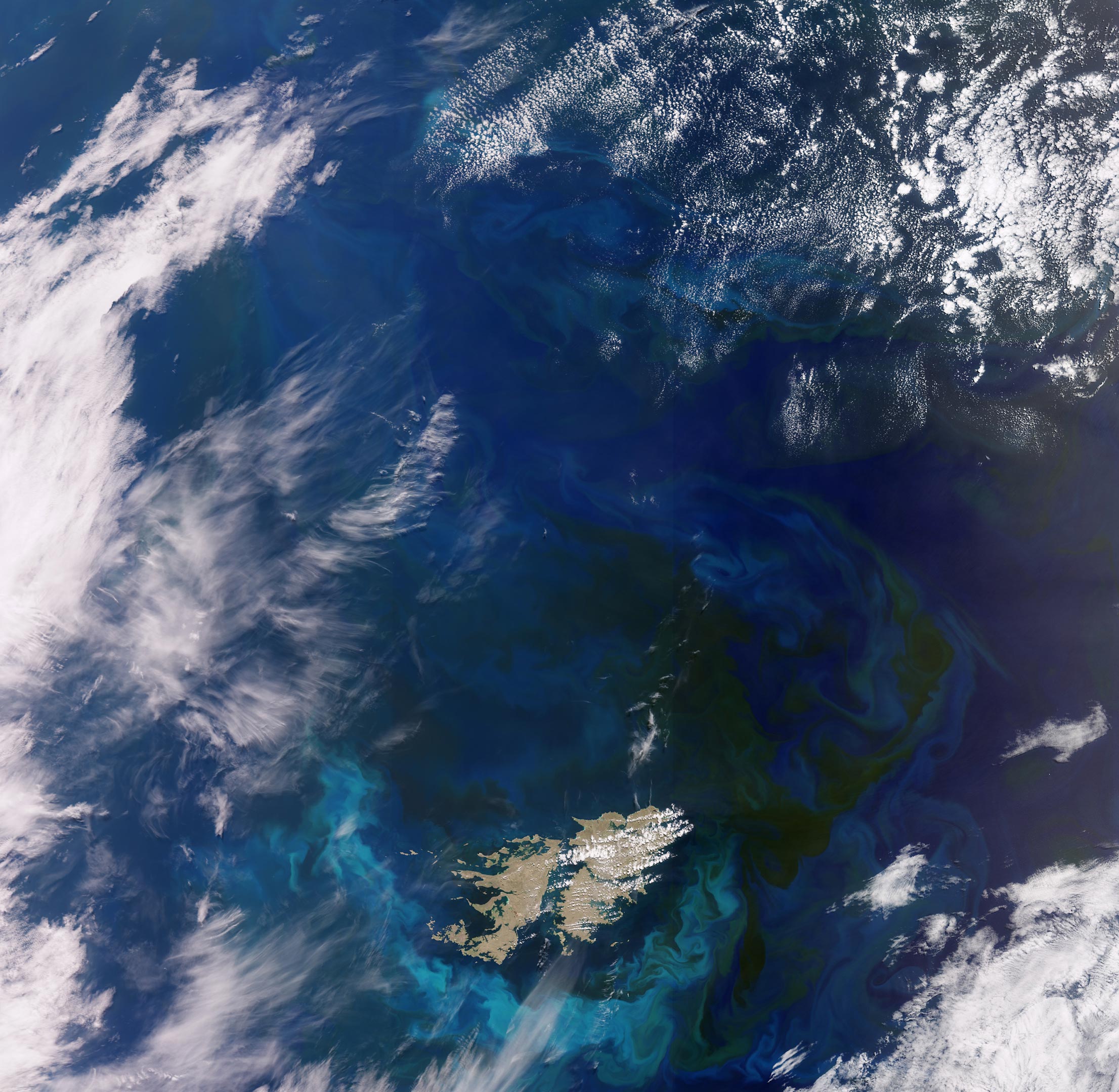 South-Atlantic-Bloom-From-Space.jpg