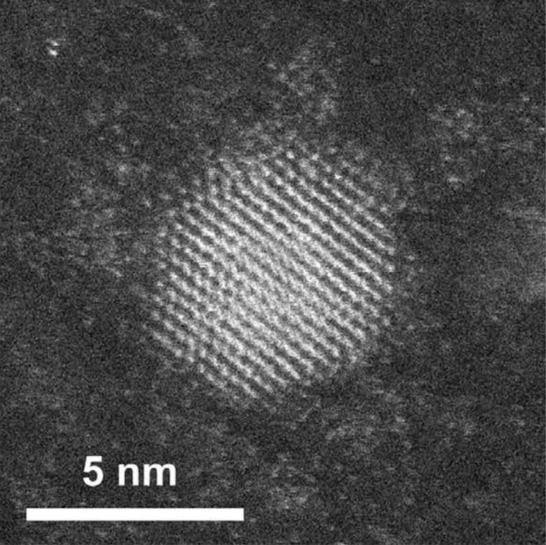 Gold-Nanoparticle-Annular-Dark-Field-Scanning-Transmission-Electron-Microscopy.jpg