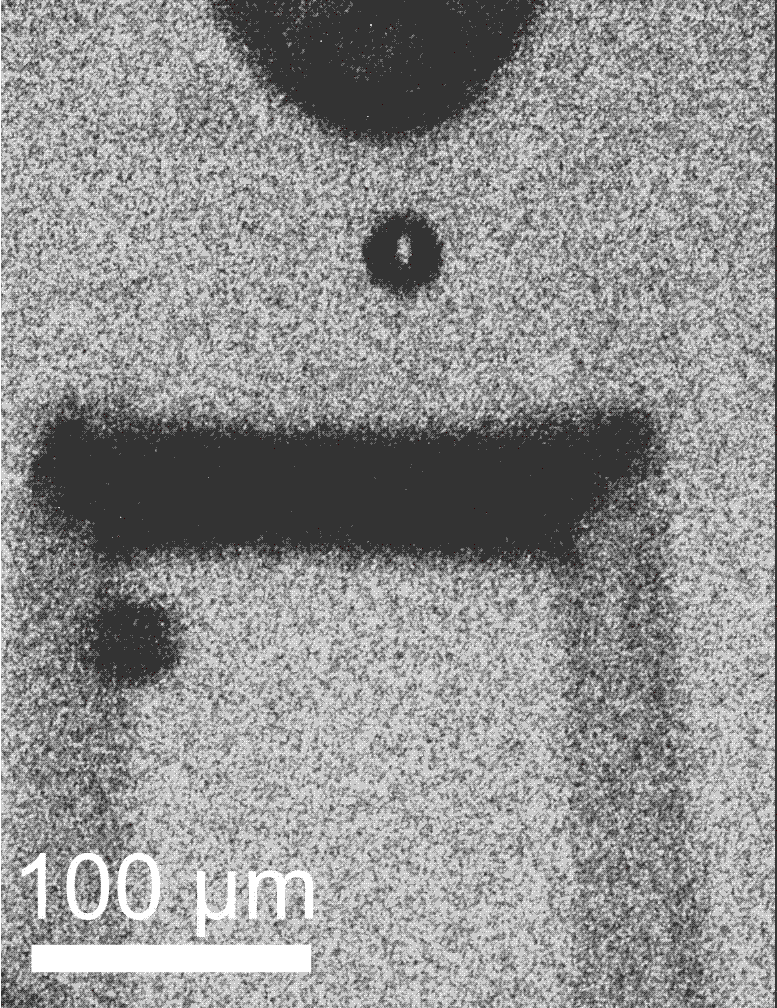 Microparticle-Fired-Through-Precisely-Architected-Metamaterial.gif