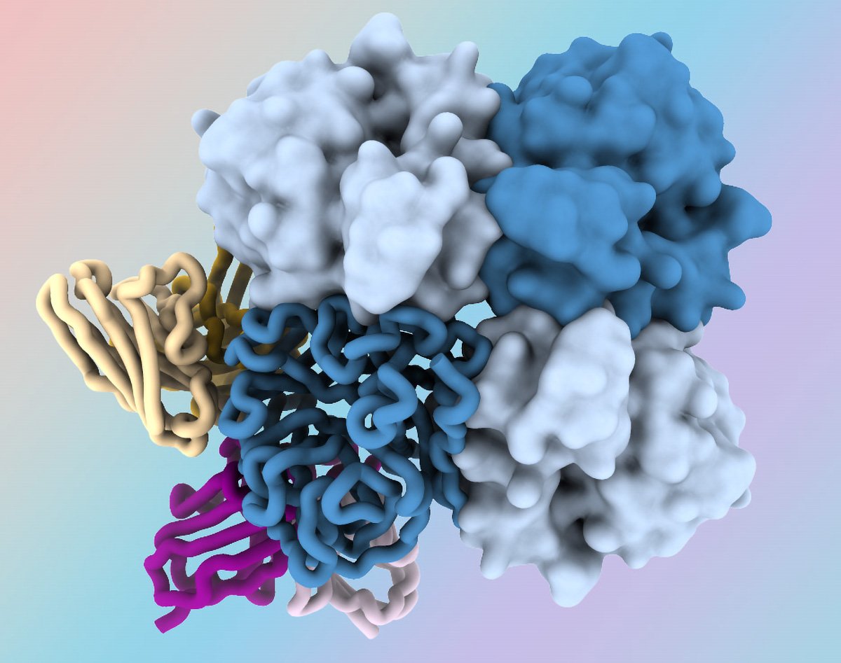Neuraminidase-Protein.jpg