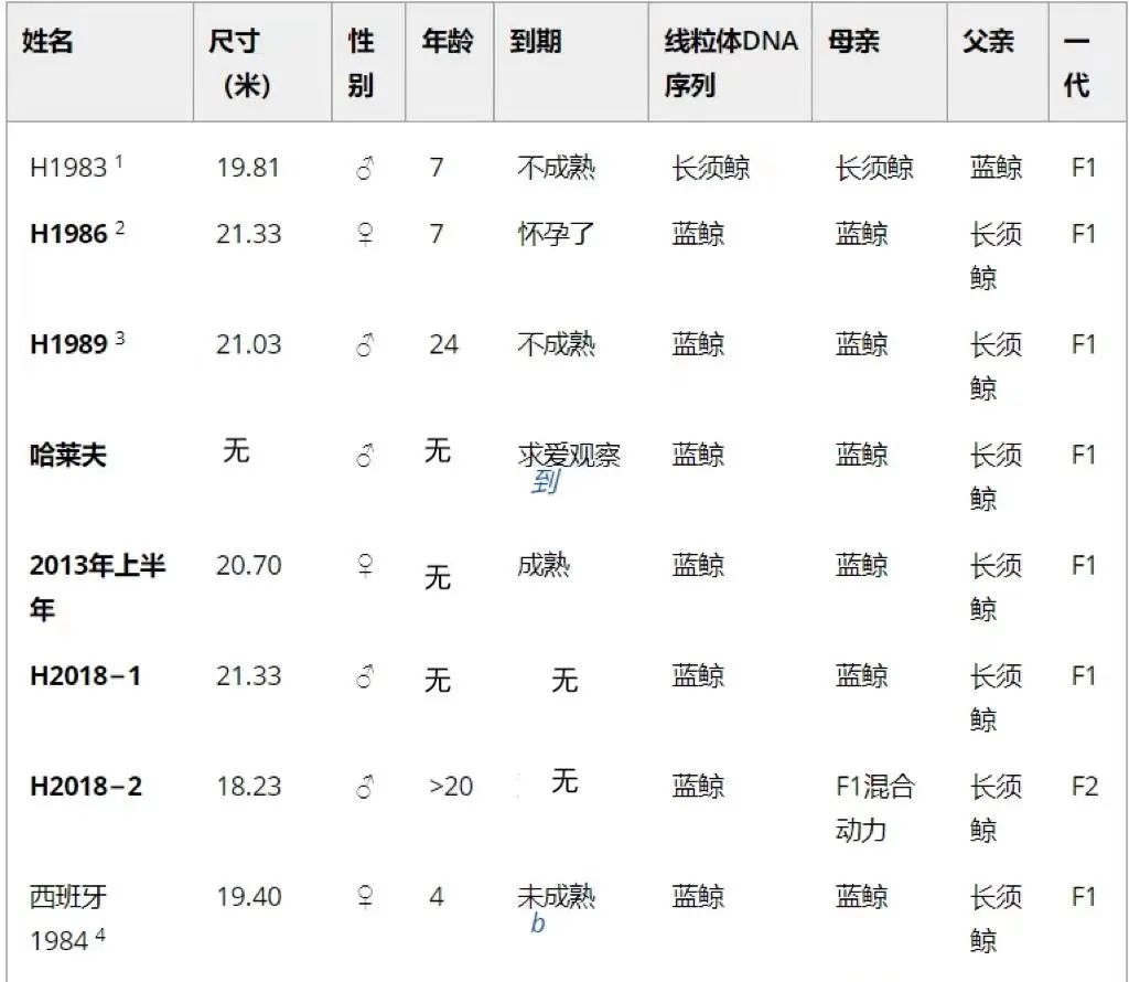 蓝鲸体内居然发现3.5%长须鲸基因？同伴太少 无奈跨种繁殖