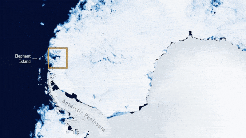重约1万亿吨的巨型冰山从南极洲越狱 现在正在南极洲附近游荡