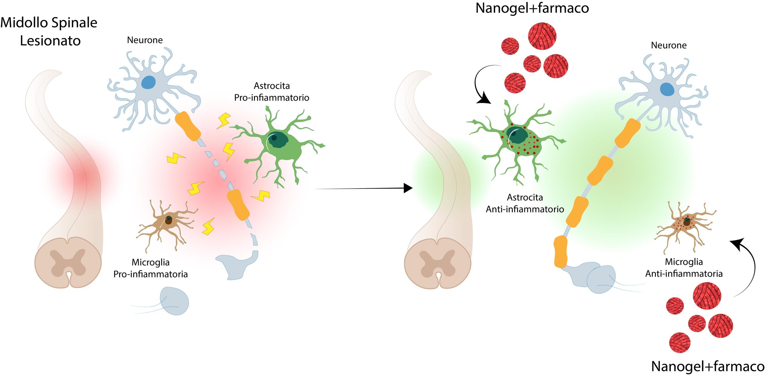 Nanogel-Selective-Drug-Treatment-Central-Nervous-System-scaled.jpg