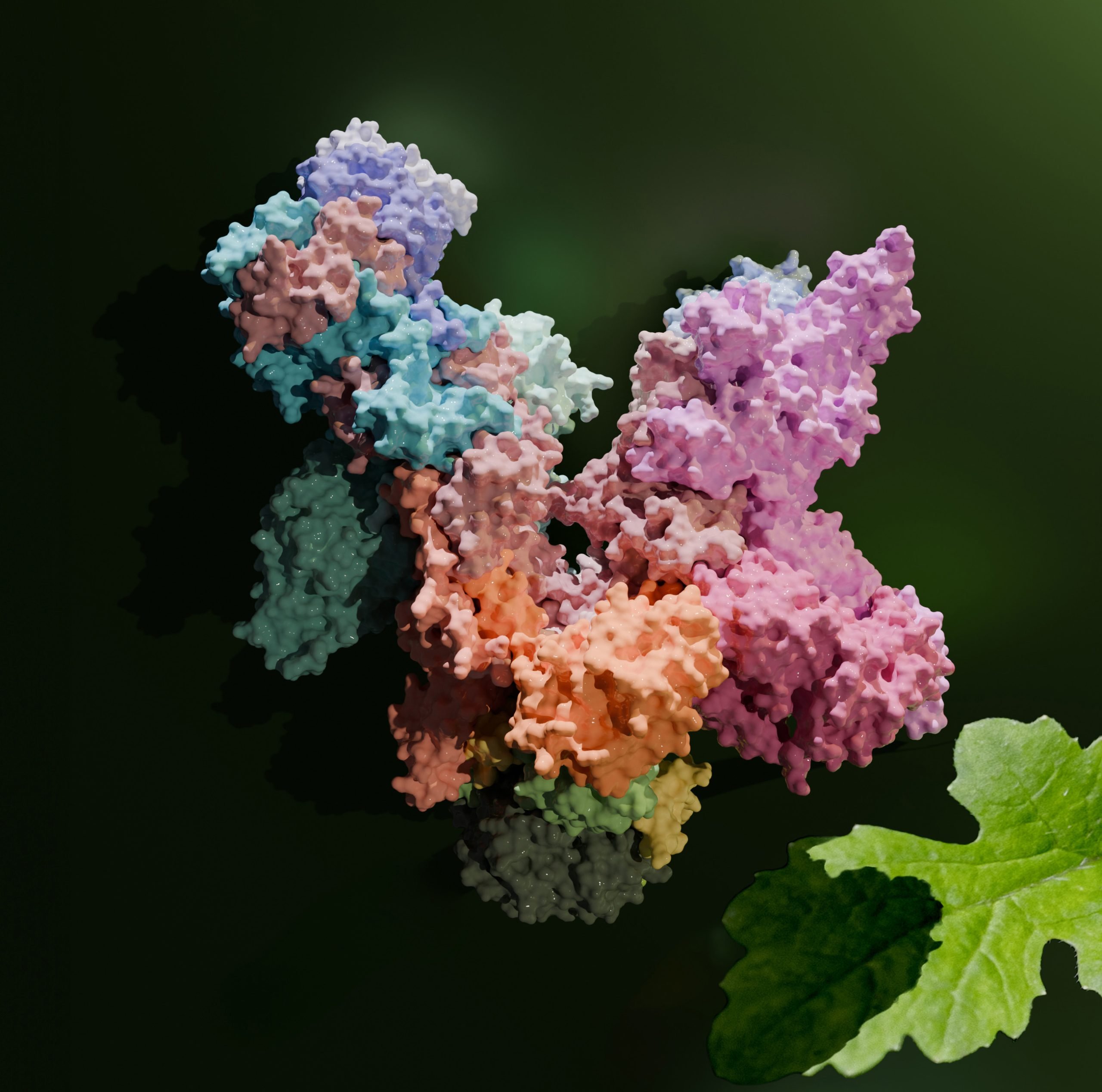 Plant-RNA-Polymerase-PEP-scaled.jpg