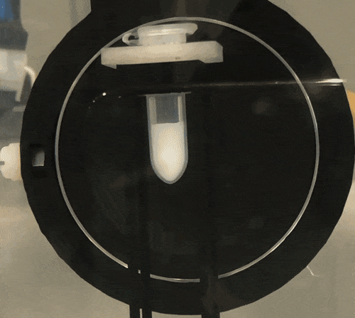 Gas-Vesicles-Ruptured-by-Ultrasound.gif