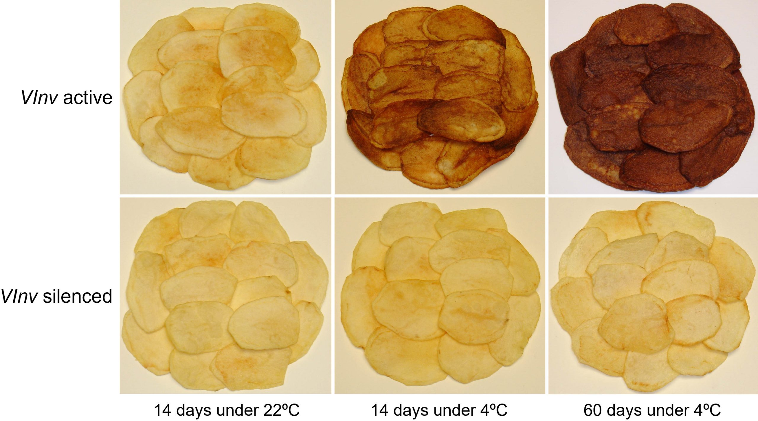 Fried-Potatoes-Graphic-scaled.jpg