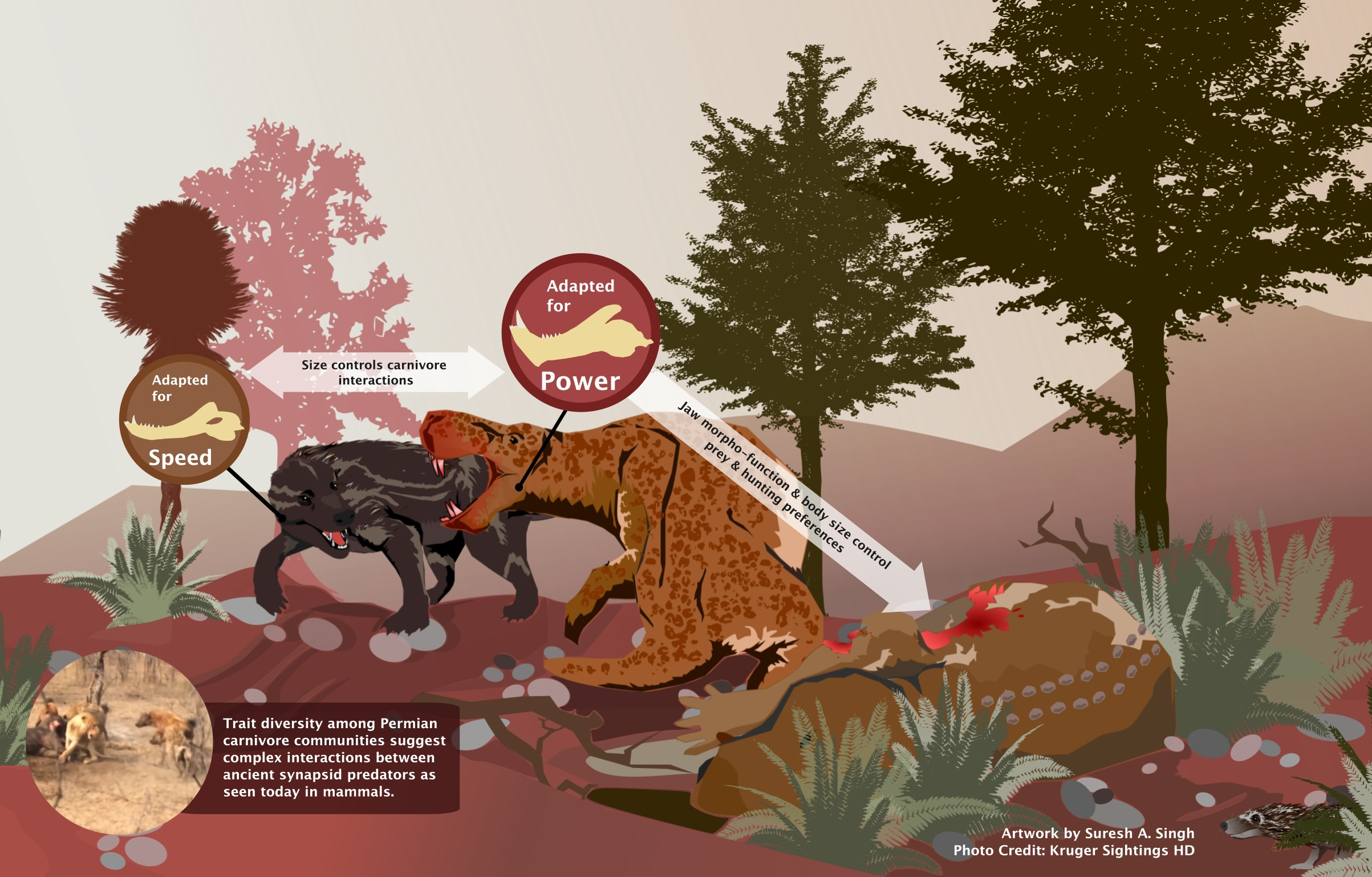 顶级掠食者的黎明：远古食肉动物如何进化成陆地霸主